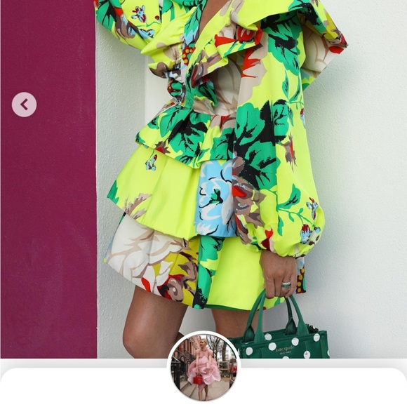 Christopher John Rogers for Target dress. Size 4 Excellent condition ๐ - Picture 3 of 3